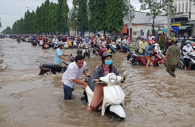 Giai Phap Moi Truong 6