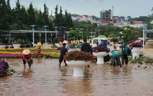 Giai Phap Moi Truong 7