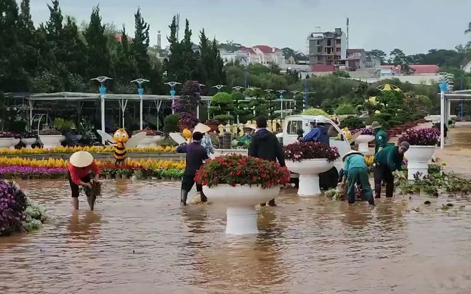 Giai Phap Moi Truong 7